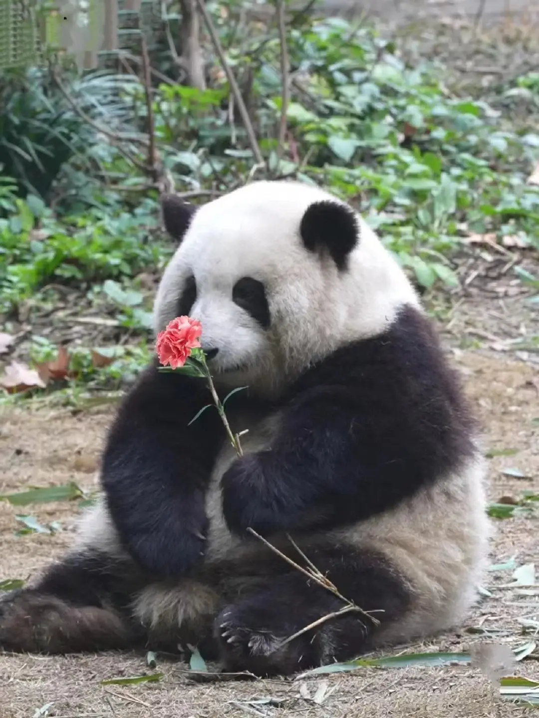 【易经八卦】五行风水每日财富分享