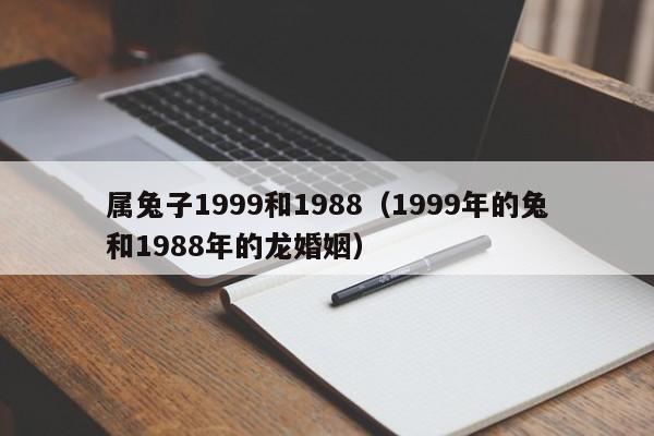 属兔子1999和1988（1999年的兔和1988年的龙婚姻）