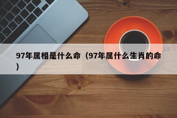 97年属相是什么命（97年属什么生肖的命）