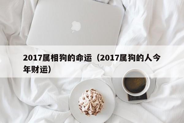 2017属相狗的命运（2017属狗的人今年财运）