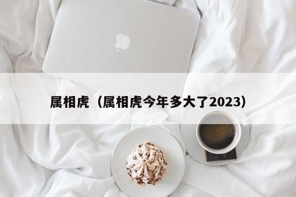 属相虎（属相虎今年多大了2023）