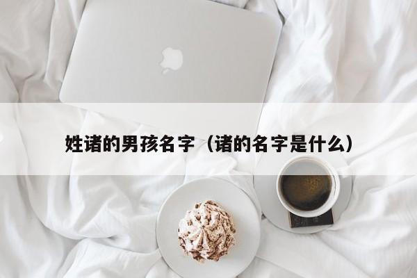 姓诸的男孩名字（诸的名字是什么）