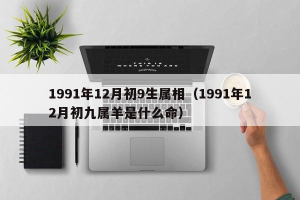 1991年12月初9生属相（1991年12月初九属羊是什么命）