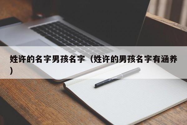 姓许的名字男孩名字（姓许的男孩名字有涵养）