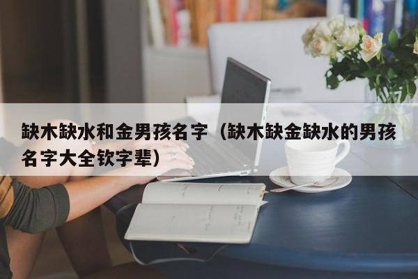 缺木缺水和金男孩名字（缺木缺金缺水的男孩名字大全钦字辈）