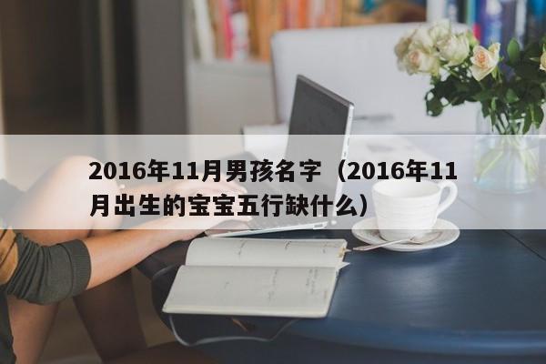 2016年11月男孩名字（2016年11月出生的宝宝五行缺什么）