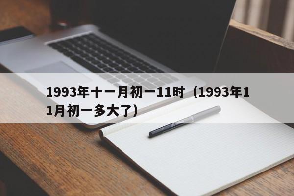 1993年十一月初一11时（1993年11月初一多大了）