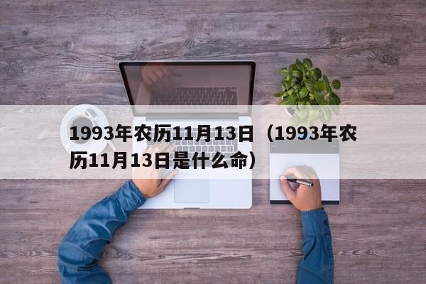 1993年农历11月13日（1993年农历11月13日是什么命）