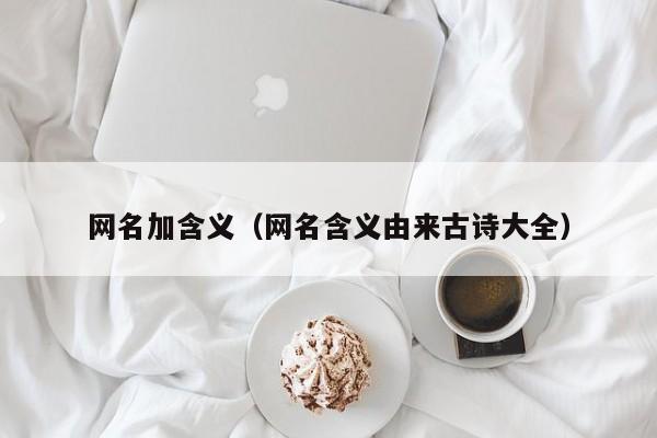 网名加含义（网名含义由来古诗大全）