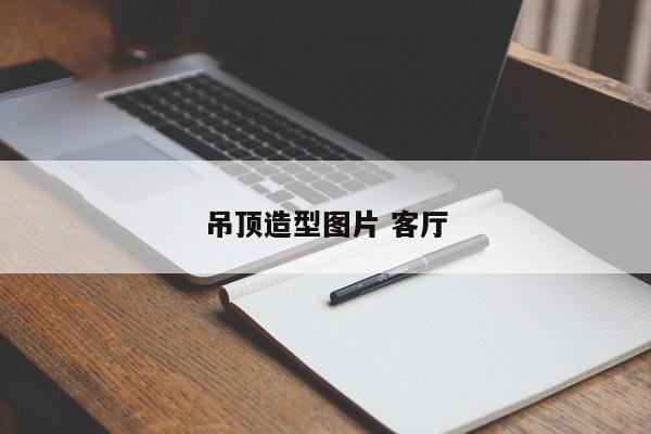 吊顶造型图片 客厅