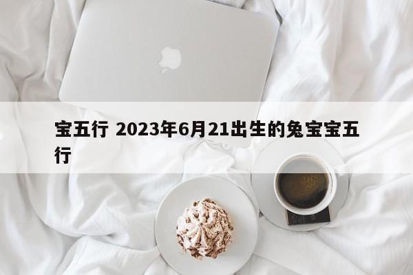 宝五行 2023年6月21出生的兔宝宝五行