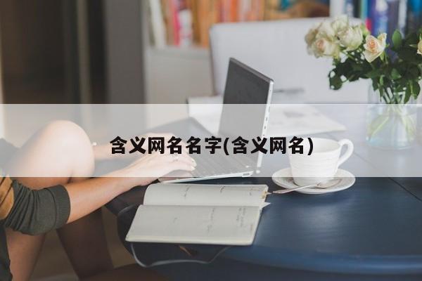 含义网名名字(含义网名)