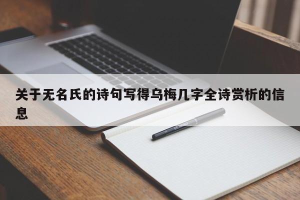 关于无名氏的诗句写得乌梅几字全诗赏析的信息