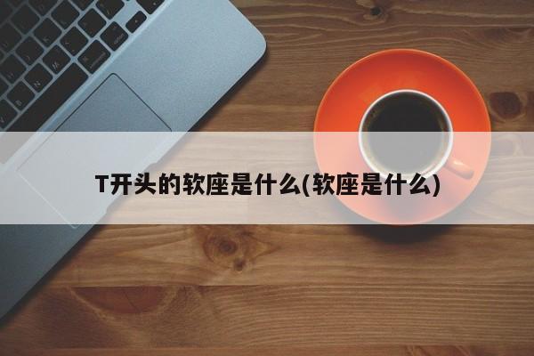 T开头的软座是什么(软座是什么)