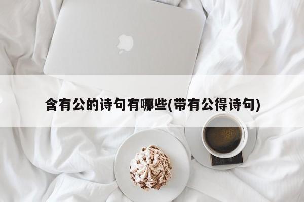 含有公的诗句有哪些(带有公得诗句)