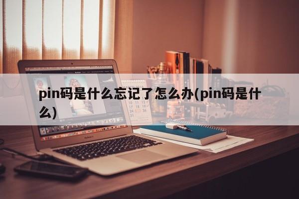 pin码是什么忘记了怎么办(pin码是什么)