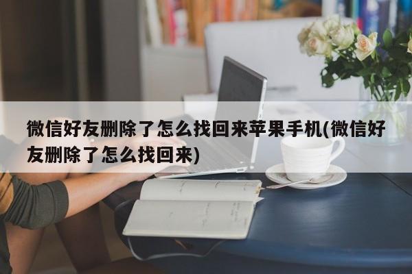 微信好友删除了怎么找回来苹果手机(微信好友删除了怎么找回来)