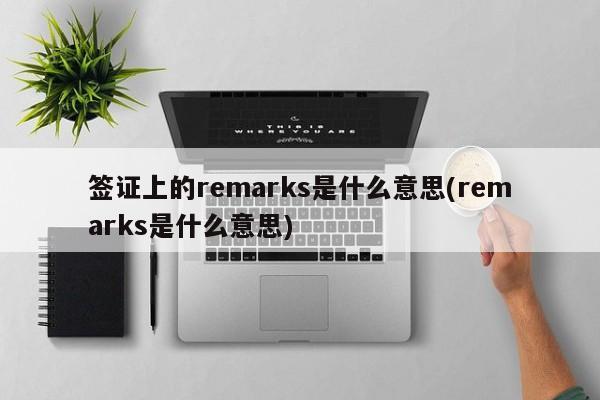 签证上的remarks是什么意思(remarks是什么意思)