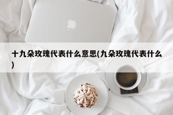 十九朵玫瑰代表什么意思(九朵玫瑰代表什么)