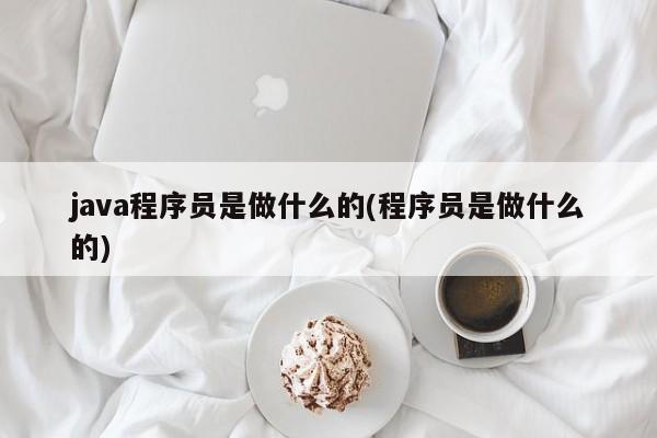 java程序员是做什么的(程序员是做什么的)