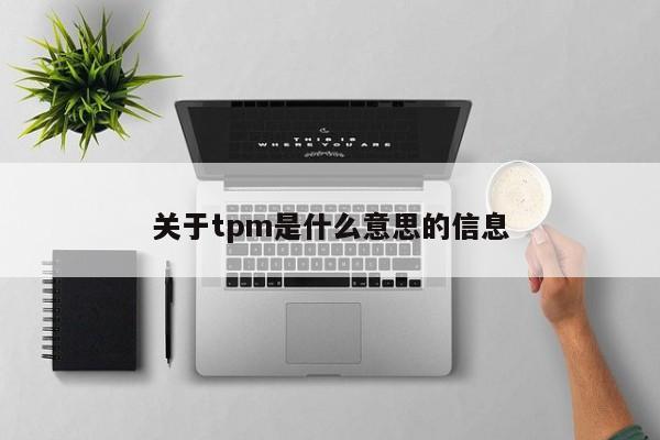 关于tpm是什么意思的信息