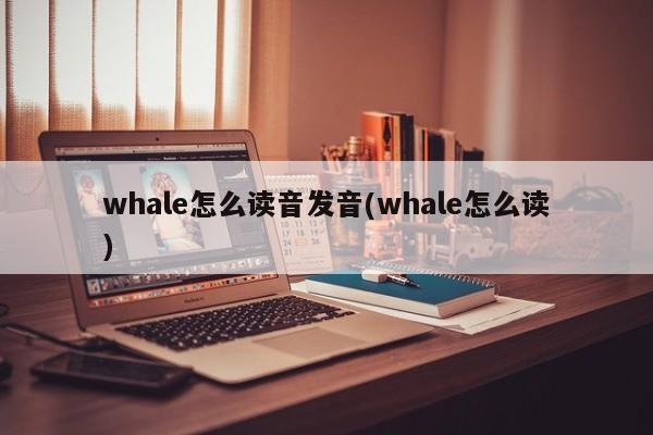 whale怎么读音发音(whale怎么读)