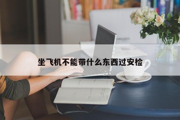 坐飞机不能带什么东西过安检