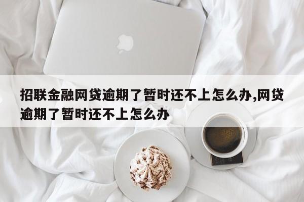 招联金融网贷逾期了暂时还不上怎么办,网贷逾期了暂时还不上怎么办