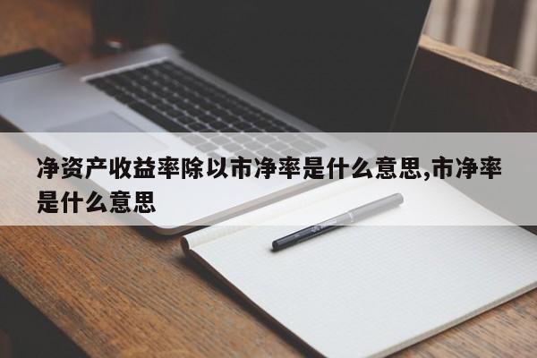 净资产收益率除以市净率是什么意思,市净率是什么意思