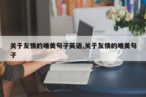 关于友情的唯美句子英语,关于友情的唯美句子